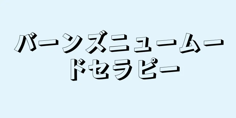 バーンズニュームードセラピー