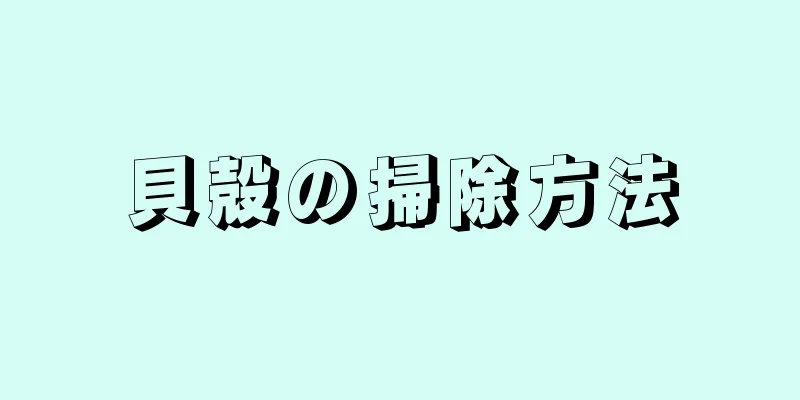 貝殻の掃除方法