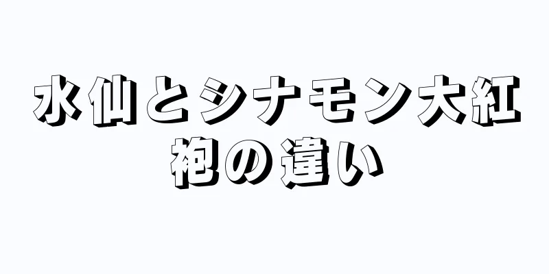 水仙とシナモン大紅袍の違い