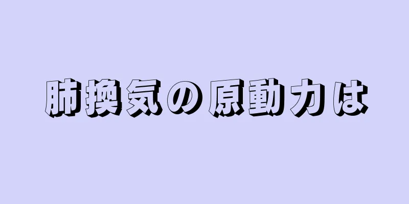 肺換気の原動力は