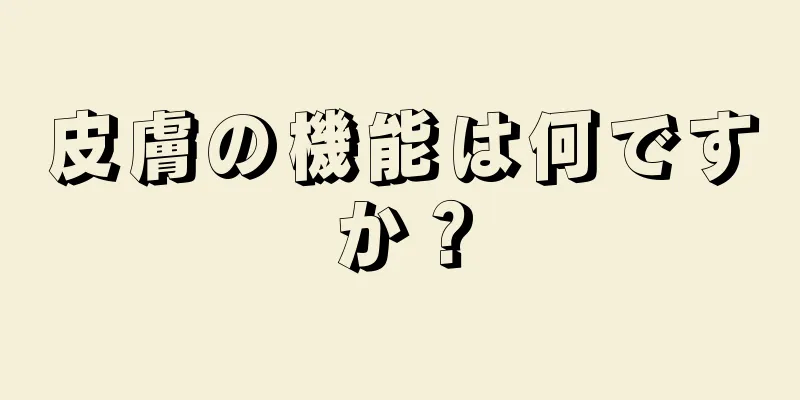 皮膚の機能は何ですか？