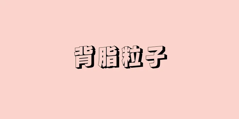 背脂粒子