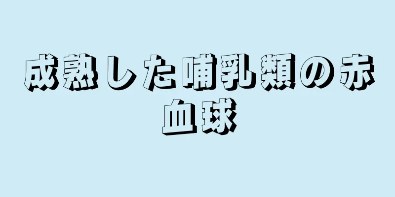 成熟した哺乳類の赤血球