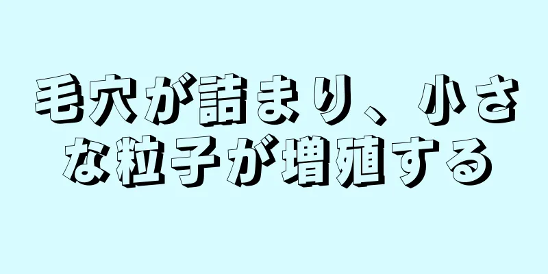 毛穴が詰まり、小さな粒子が増殖する