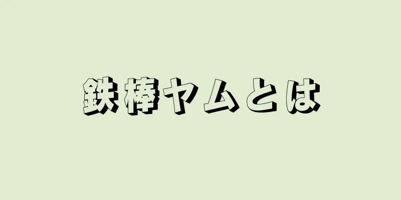 鉄棒ヤムとは