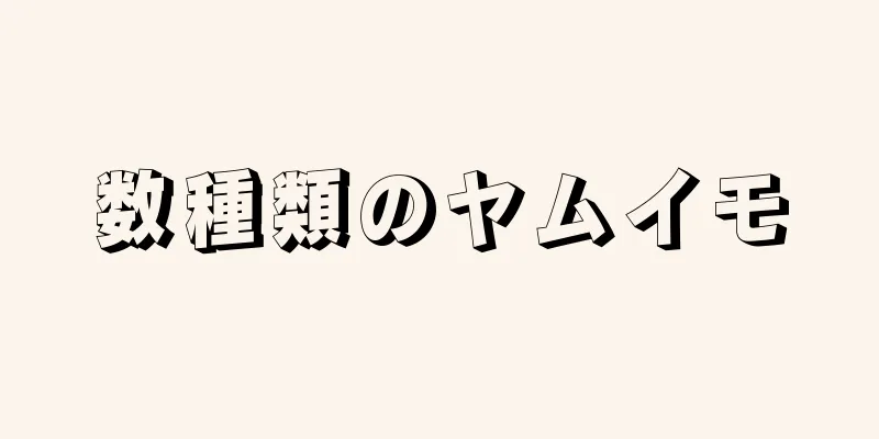 数種類のヤムイモ