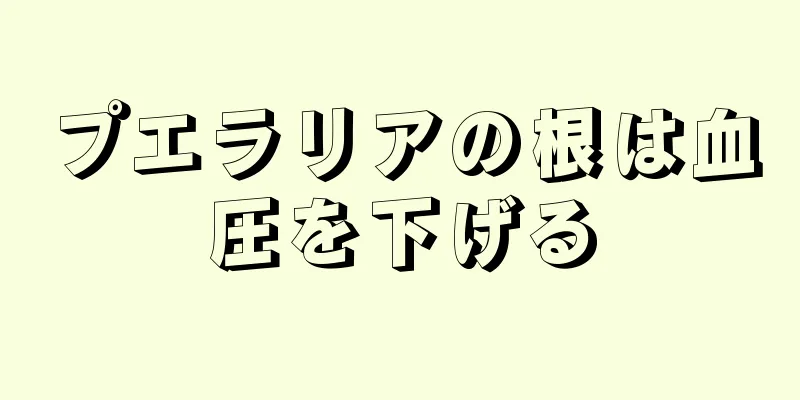 プエラリアの根は血圧を下げる