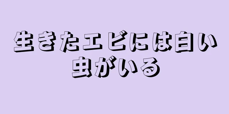 生きたエビには白い虫がいる