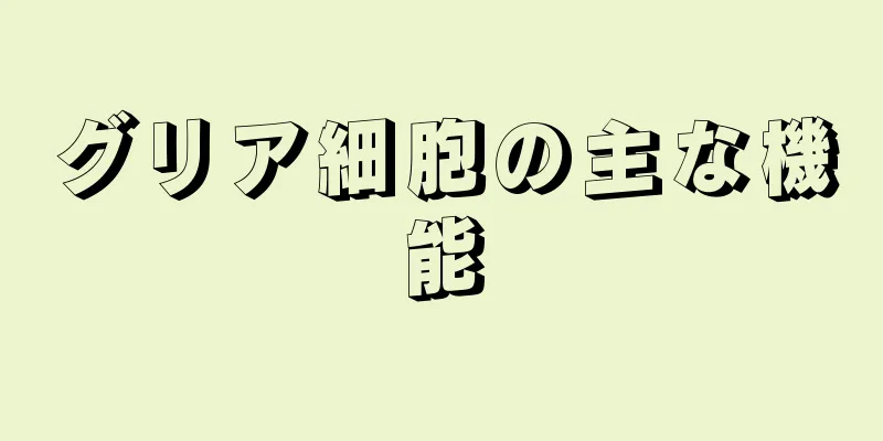 グリア細胞の主な機能