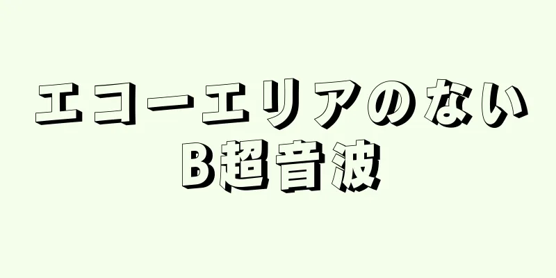 エコーエリアのないB超音波