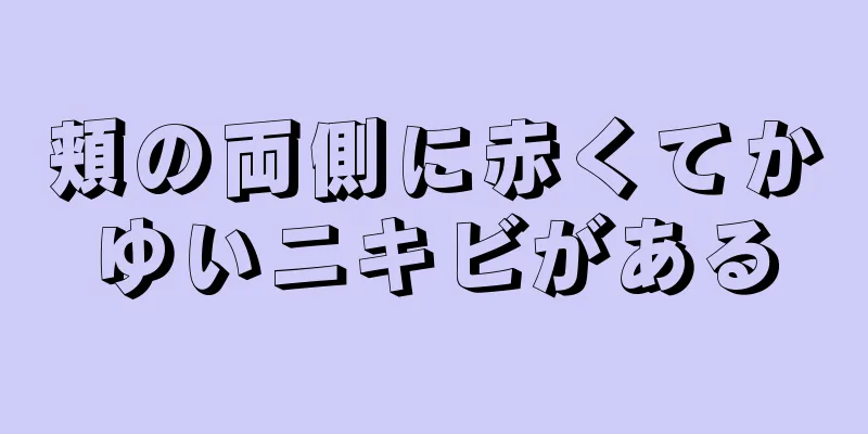 頬の両側に赤くてかゆいニキビがある