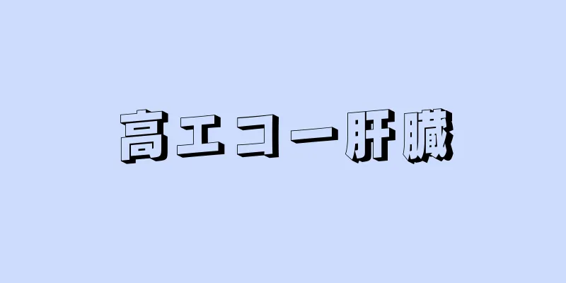 高エコー肝臓