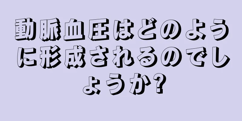 動脈血圧はどのように形成されるのでしょうか?