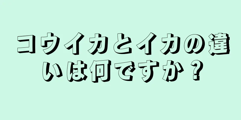 コウイカとイカの違いは何ですか？