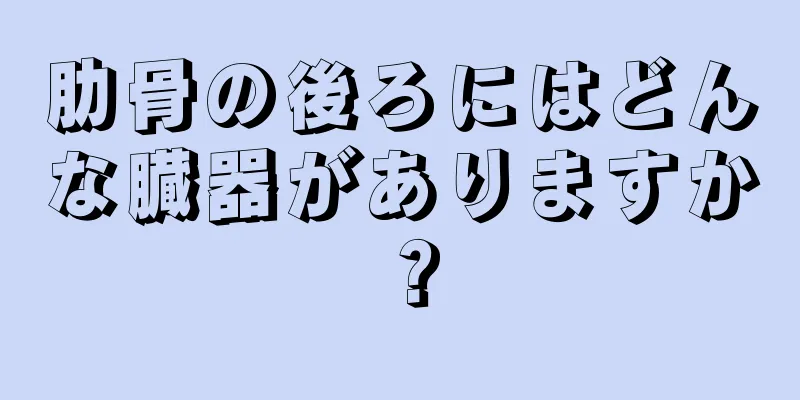 肋骨の後ろにはどんな臓器がありますか？