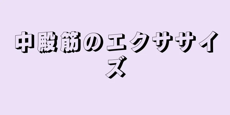 中殿筋のエクササイズ