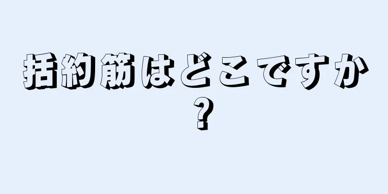 括約筋はどこですか？