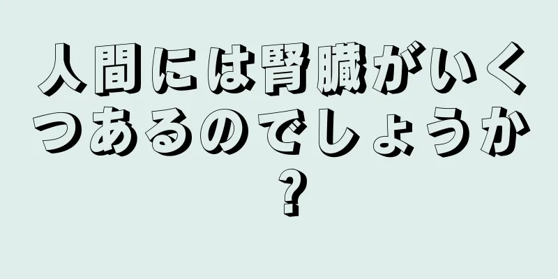 人間には腎臓がいくつあるのでしょうか？