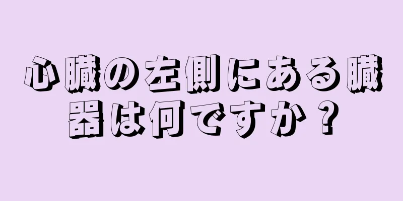 心臓の左側にある臓器は何ですか？