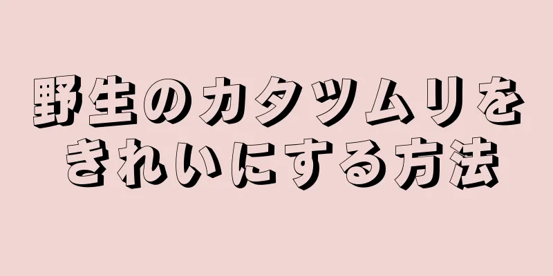 野生のカタツムリをきれいにする方法