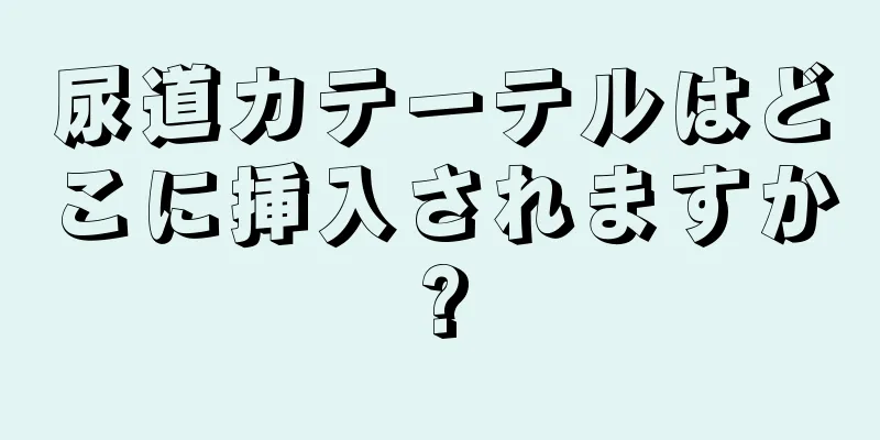 尿道カテーテルはどこに挿入されますか?