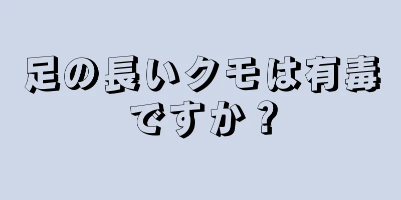 足の長いクモは有毒ですか？