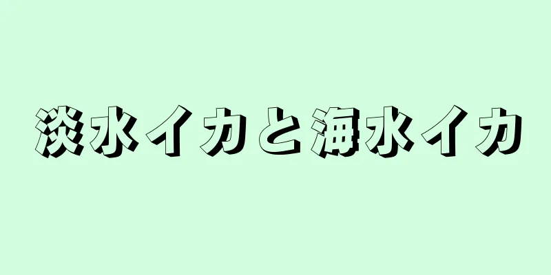 淡水イカと海水イカ