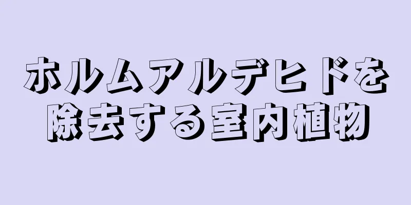 ホルムアルデヒドを除去する室内植物