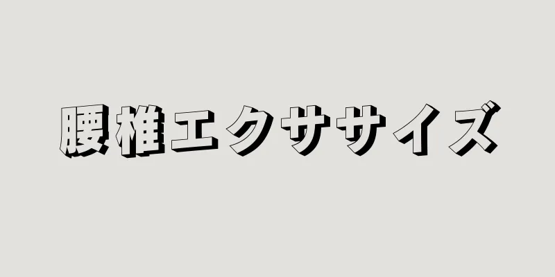 腰椎エクササイズ