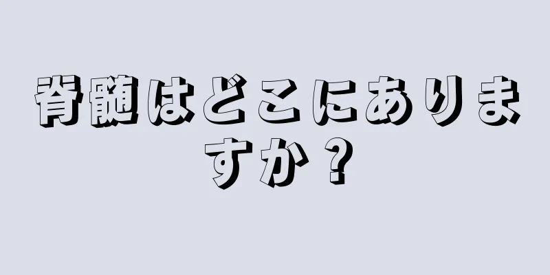 脊髄はどこにありますか？