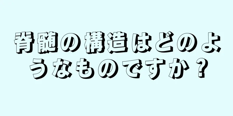 脊髄の構造はどのようなものですか？