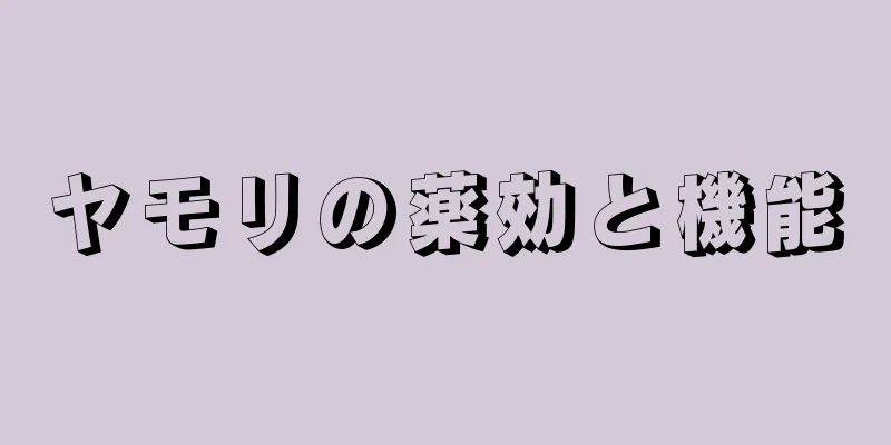 ヤモリの薬効と機能