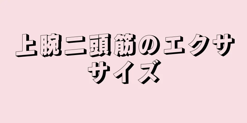 上腕二頭筋のエクササイズ