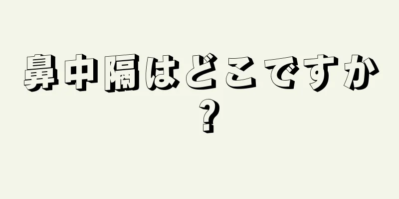 鼻中隔はどこですか？