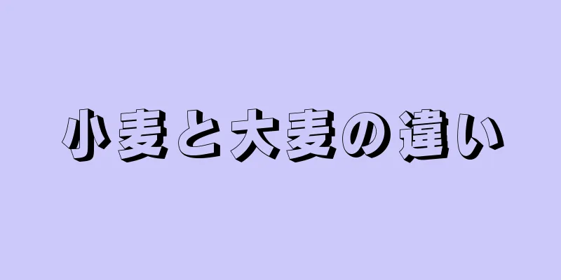 小麦と大麦の違い