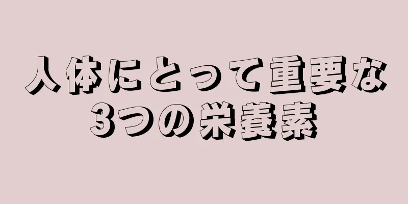 人体にとって重要な3つの栄養素