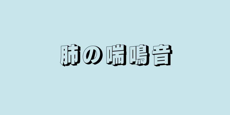 肺の喘鳴音