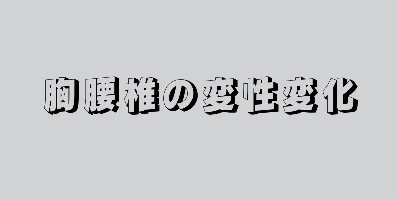 胸腰椎の変性変化