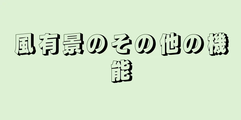 風有景のその他の機能