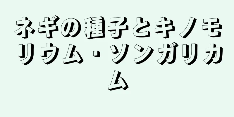 ネギの種子とキノモリウム・ソンガリカム