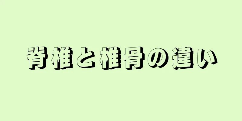 脊椎と椎骨の違い