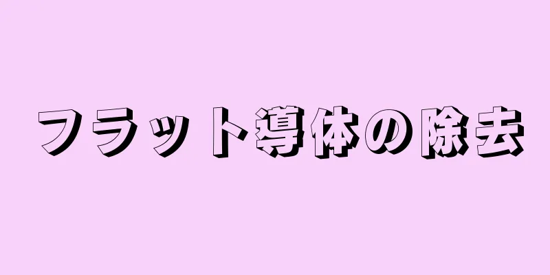 フラット導体の除去