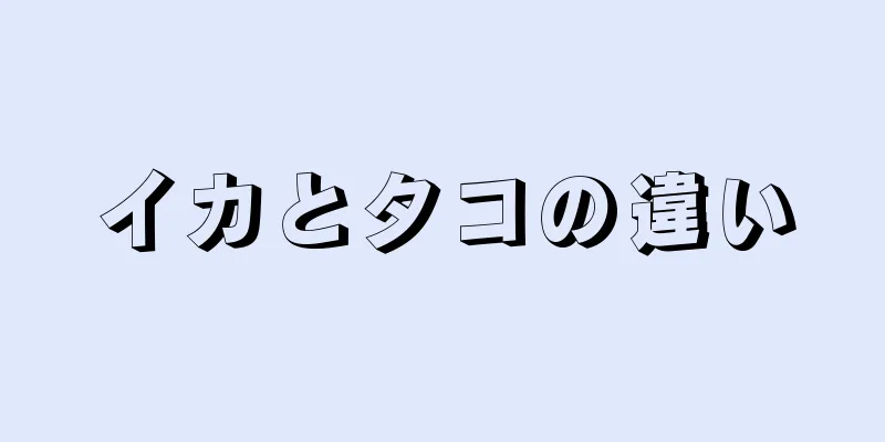 イカとタコの違い