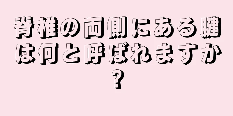 脊椎の両側にある腱は何と呼ばれますか?