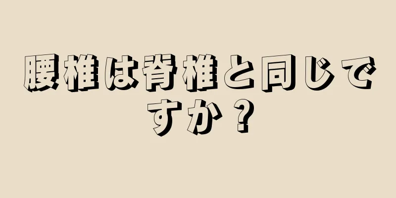 腰椎は脊椎と同じですか？