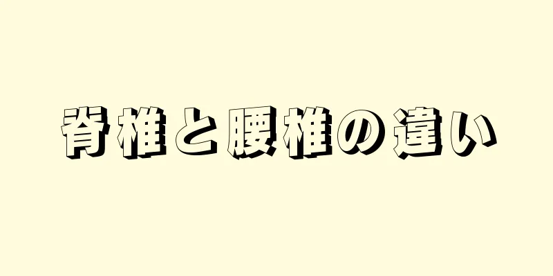 脊椎と腰椎の違い