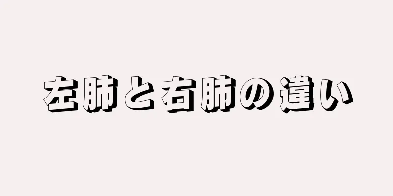 左肺と右肺の違い