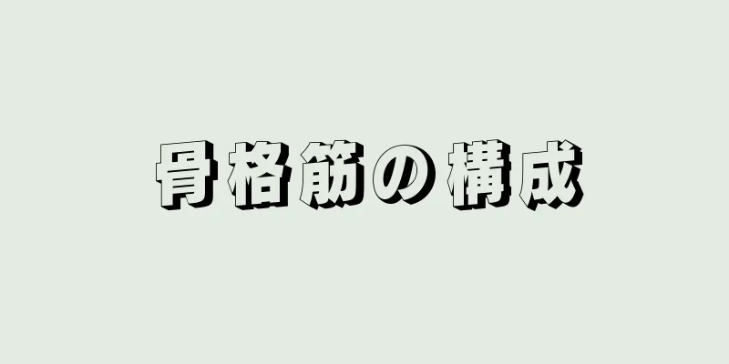 骨格筋の構成