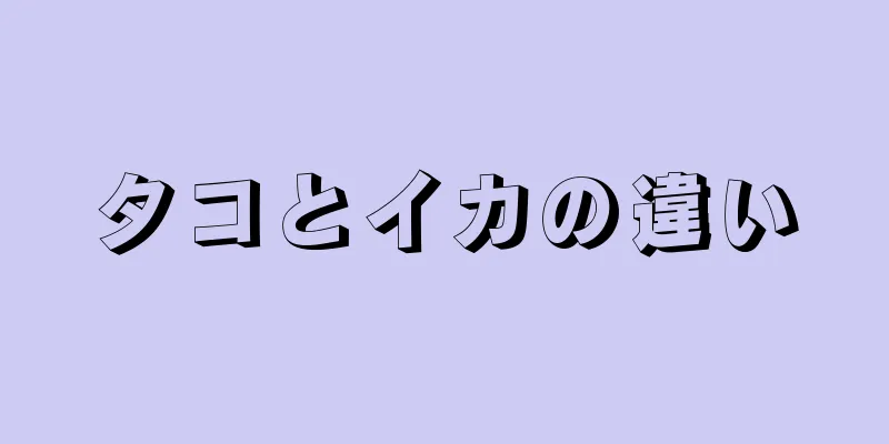 タコとイカの違い