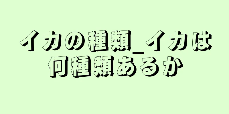 イカの種類_イカは何種類あるか